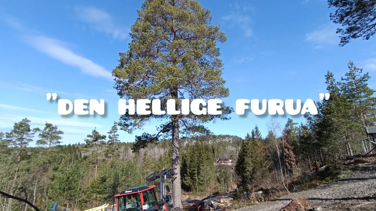 Kjell Stredet og den 