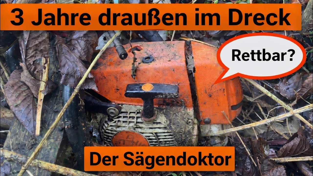 STIHL MS 260 lag 3 Jahre im Dreck #sägendoktor #haselünne #kettensäge #stihl #kettensäge 