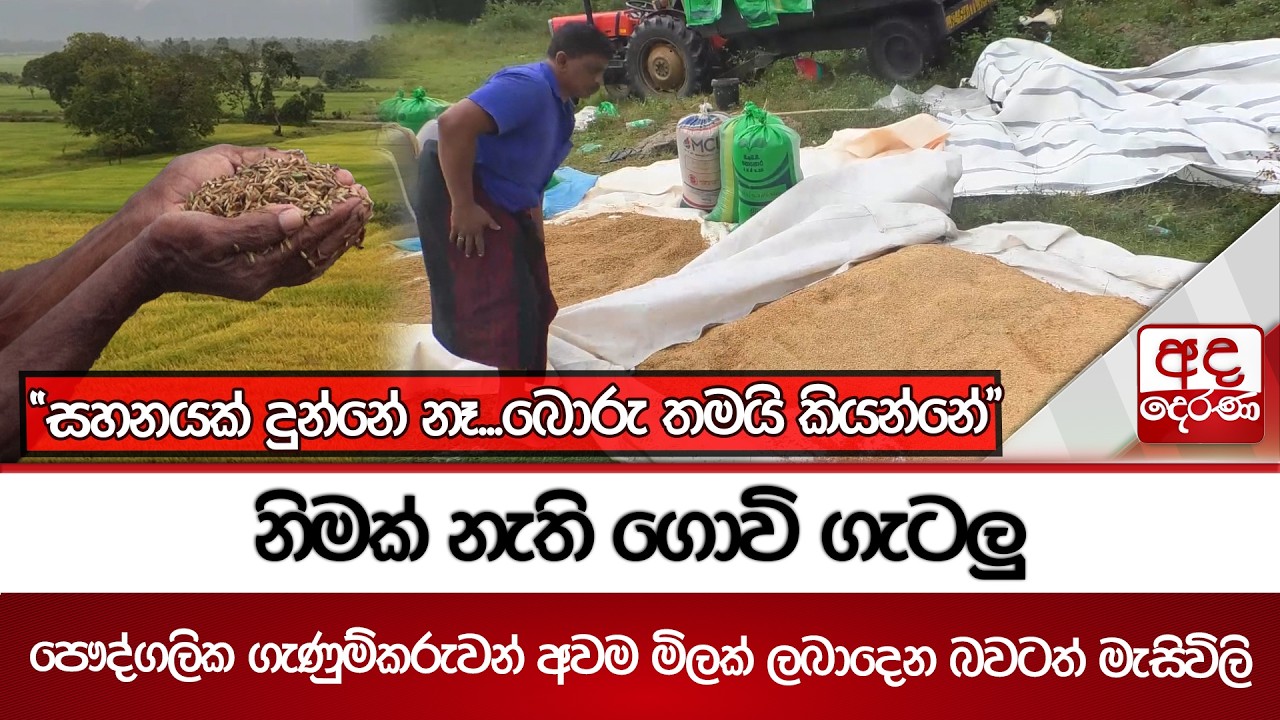 නිමක් නැති ගොවි ගැටලු - පෞද්ගලික ගැණුම්කරුවන් අවම මිලක් ලබාදෙන බවටත් මැසිවිලි | Ada Derana