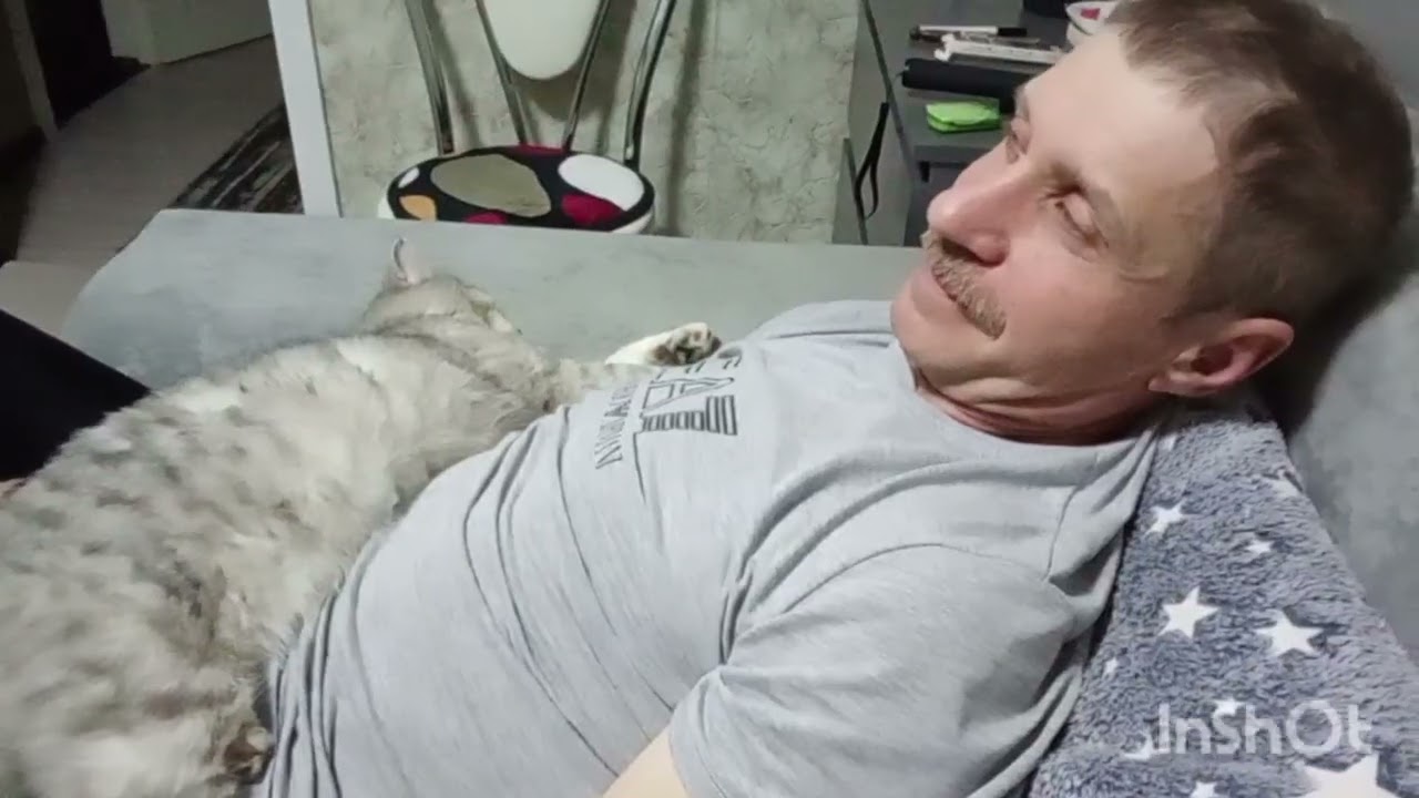 Любимый и быстрый ужин