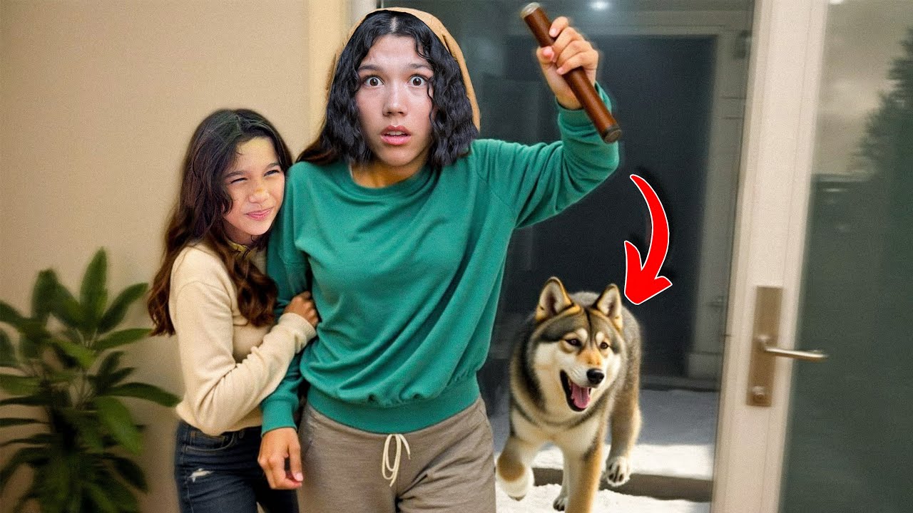 SHOCKING REACTIONS You Won’t Believe! | Familia Diamond