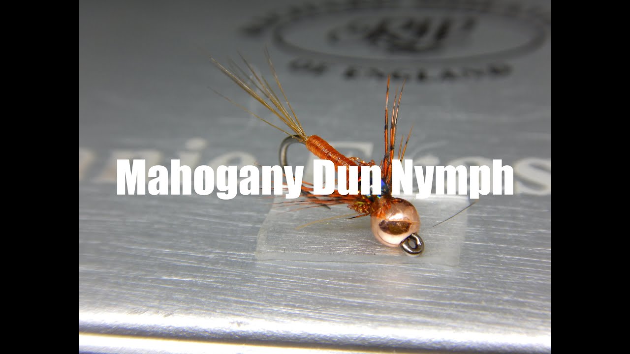 Mahogany Dun Nymph
