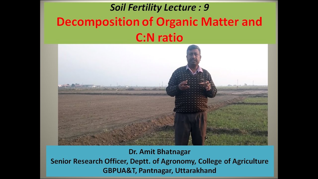 Decomposition of Organic Matter and C:N ratio