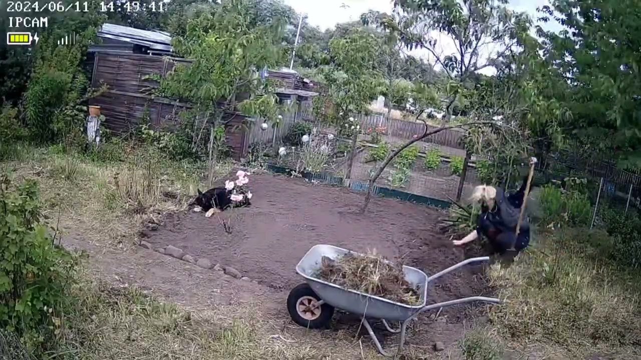 Die ersten Wochen im neuen Garten 🤗 & der Besuch im alten Garten.