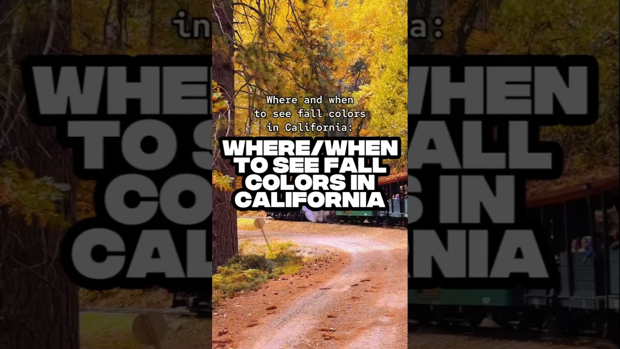 Chase Fall Foliage in California 🍂 Top Spots & Best Time to Visit in 2025 #CaliforniaFallColors