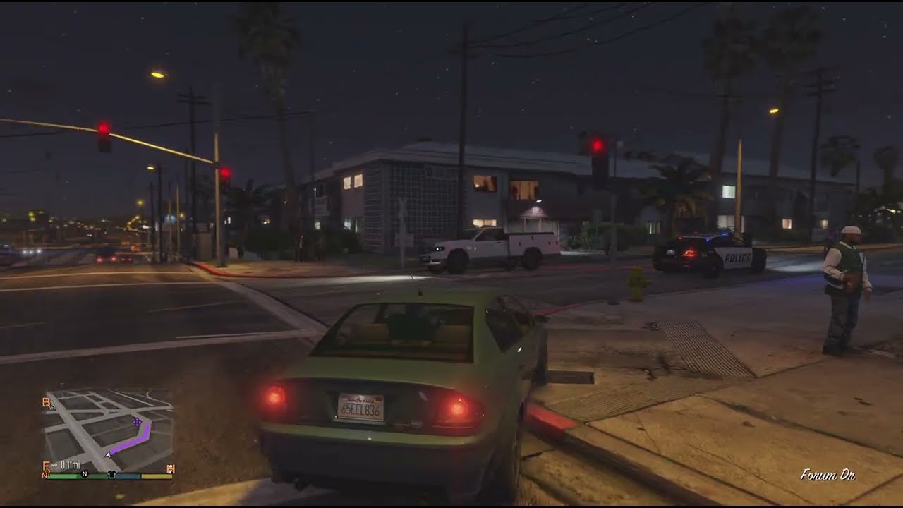 GTA V Racist Police Harassing NPCs