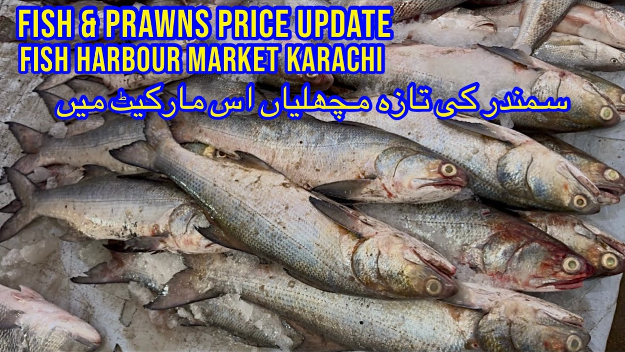 FISH & PRAWNS PRICE UPDATE KARACHI FISH HARBOUR MARKET February 7, 2026