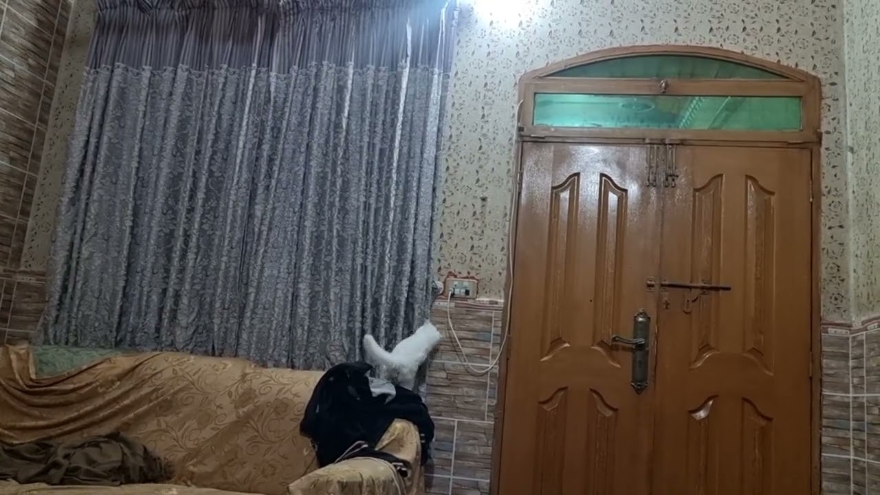 Bubblylife #cat #cuteanimal #cutecat #kitten #pets #mycat #funny #love 