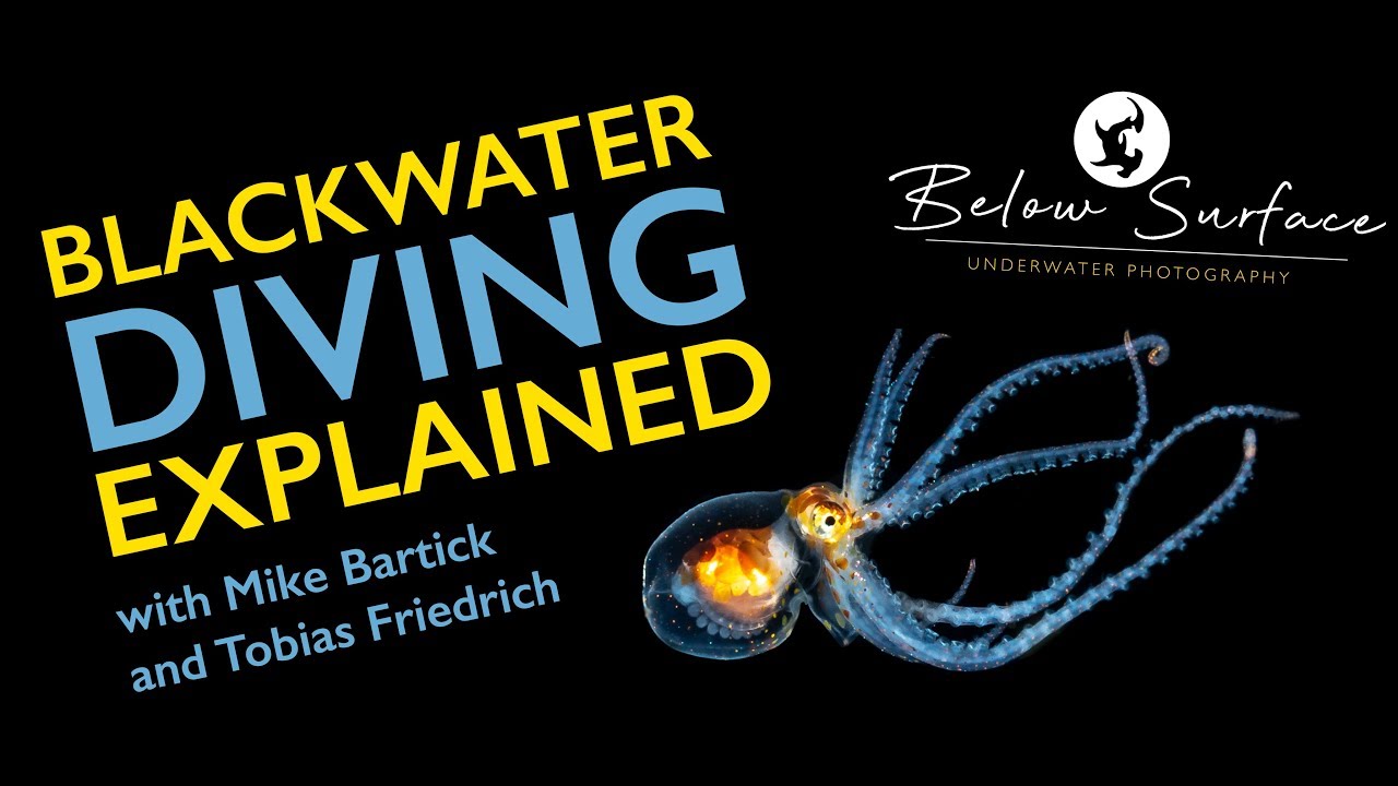 BLACKWATER DIVING EXPLAINED | WITH MIKE BARTICK AND TOBIAS FRIEDRICH