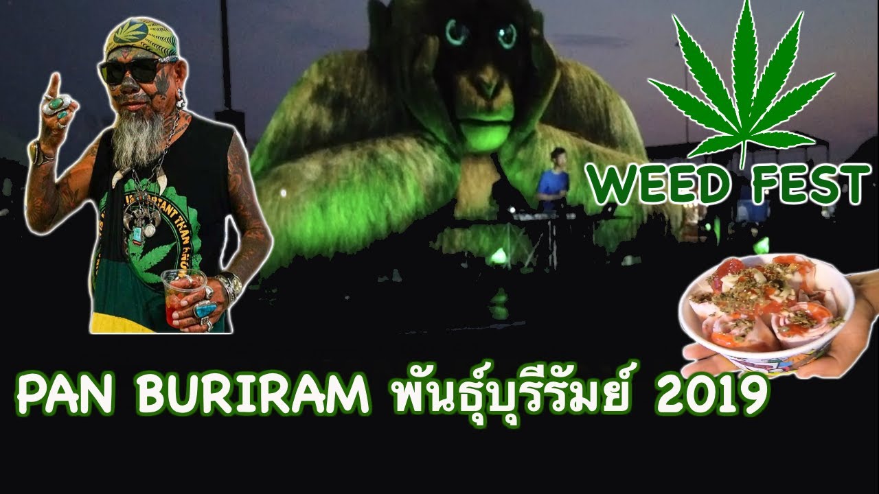 พันธุ์บุรีรัมย์ WEED&nbsp;FEST&nbsp;-&nbsp;PAN&nbsp;BURIRAM&nbsp;-&nbsp;420&nbsp;CANNABIS&nbsp;FESTIVAL&nbsp;THAILAND HIGHLAND งานกัญชาโลก