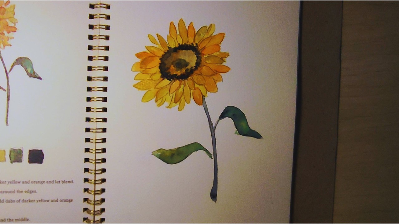Há Uma Sabedoria no Girassol Que Ninguém Te Ensinou | Aquarela Contemplativa