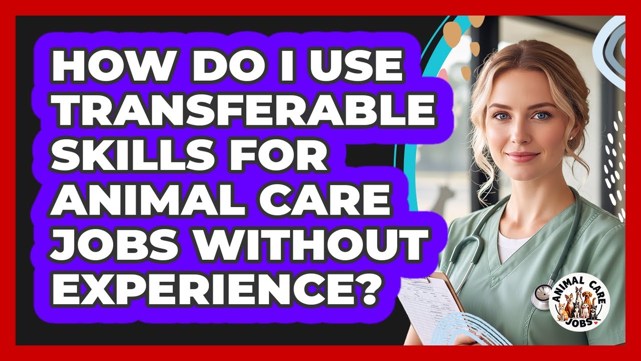 How Do I Use Transferable Skills For Animal Care Jobs Without Experience? - Animal Care Jobs