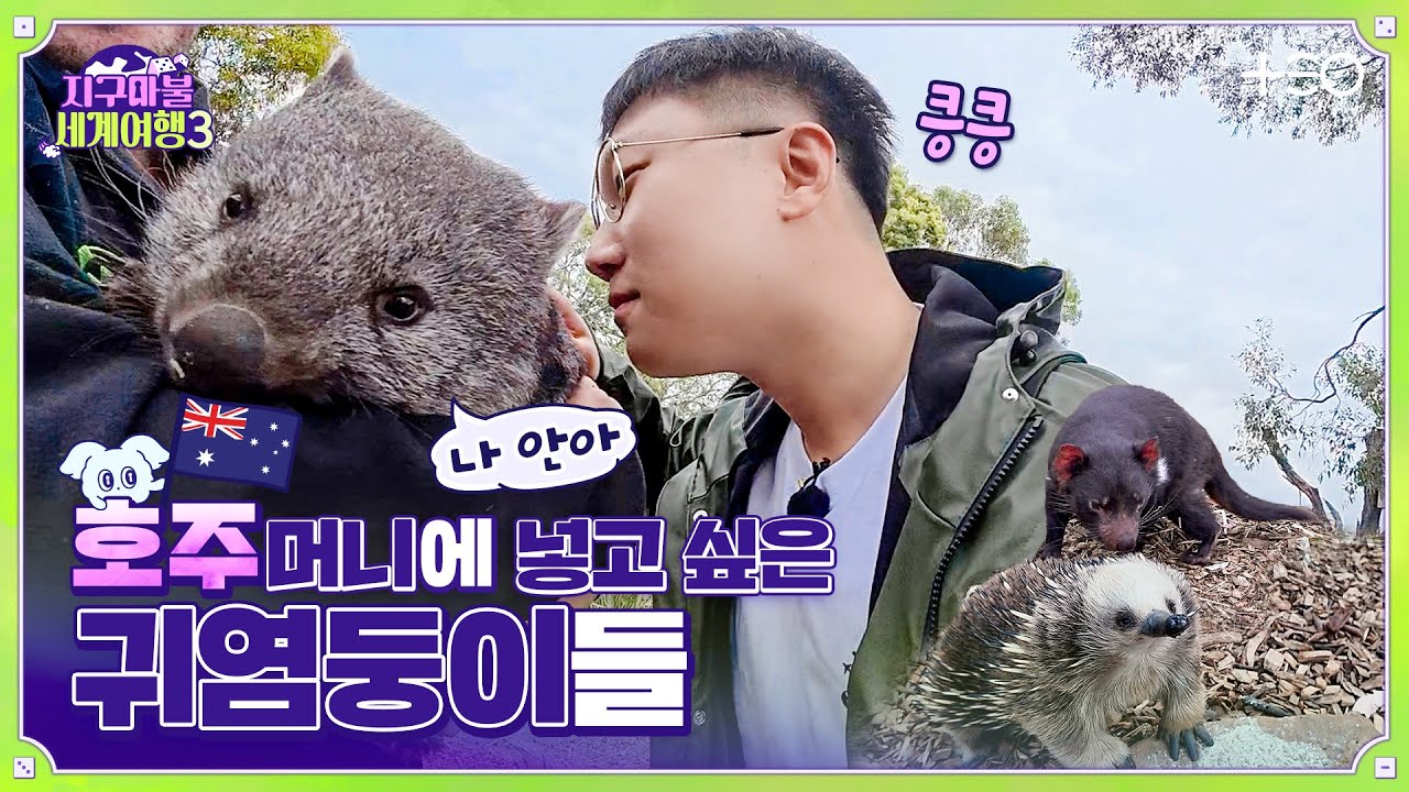 🎲✈[SUB/2R P1 대결] 빠니보틀 - 호주 - 2라운드 Part.1 │지구마불 세계여행3 | TEO