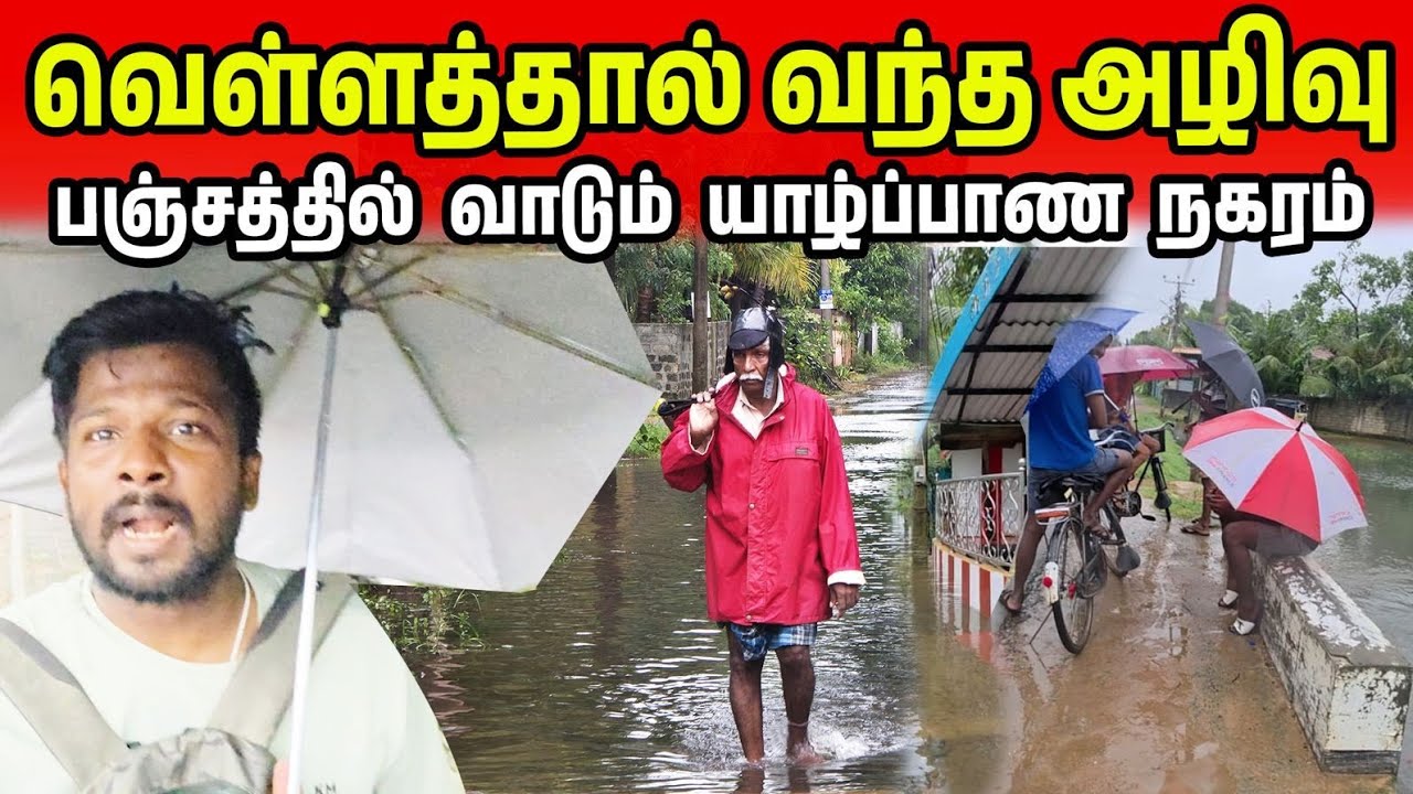 யாழ்ப்பாணம்! இனி பஞ்சம் தான் | Jaffna Food Crisis | Jaffna Suthan