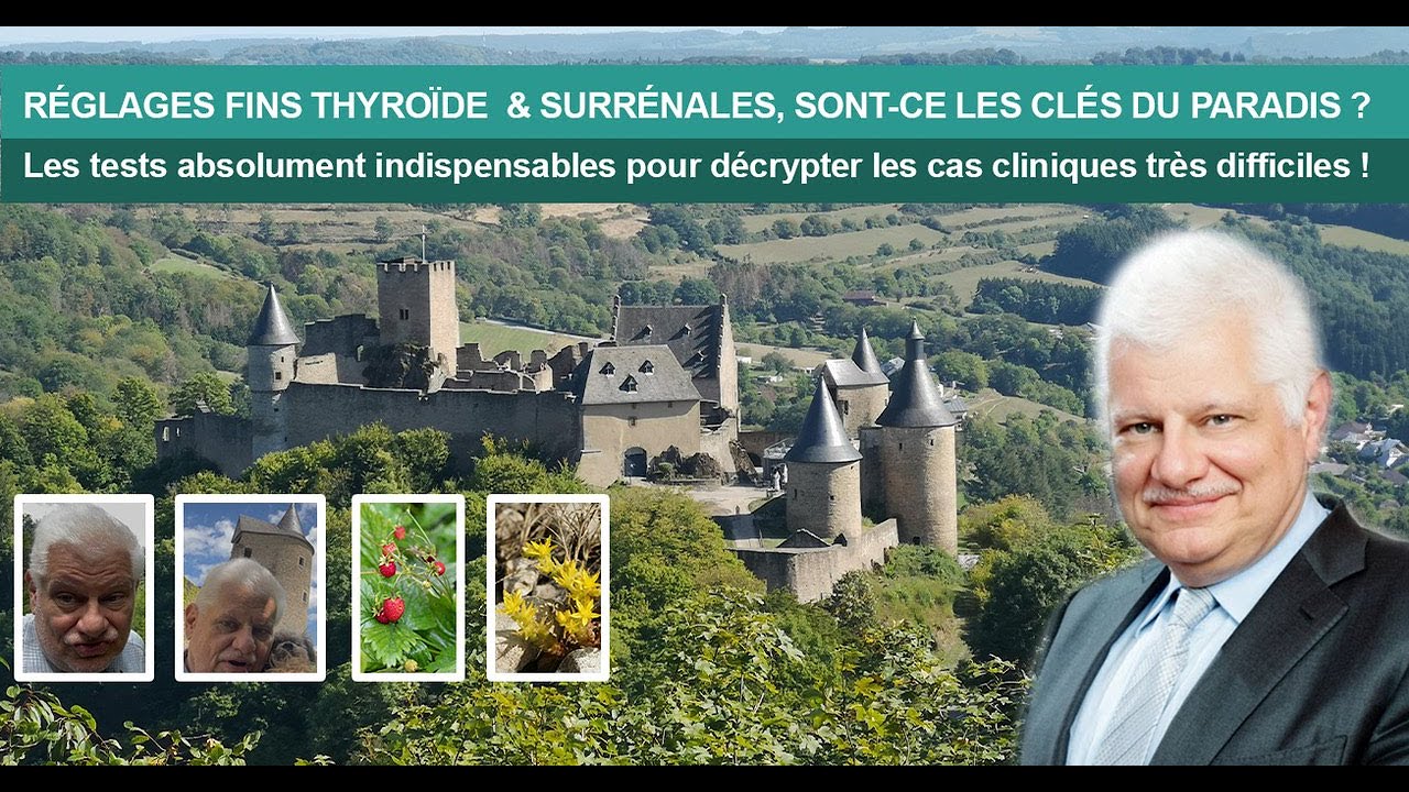 RÉGLAGES FINS THYROÏDE  & SURRÉNALES, SONT CE LES CLÉS DU PARADIS ?