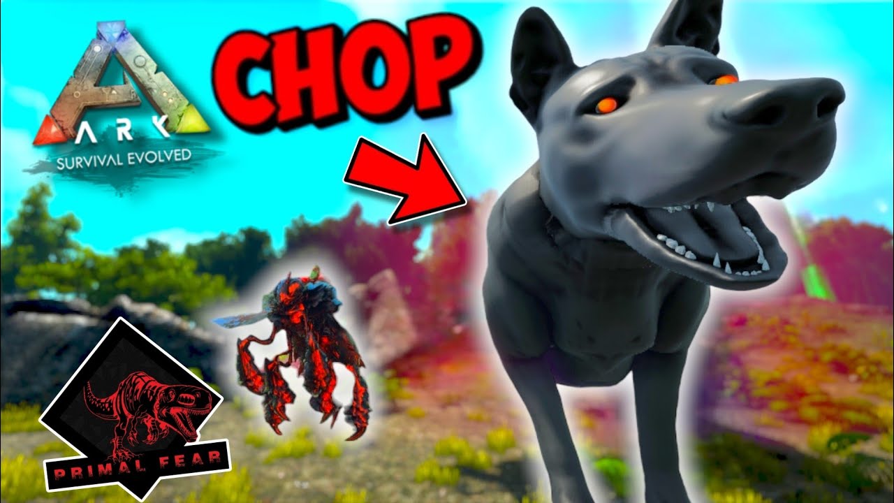 CHOP HELPED ME TO TAME CHAOS BEE QUEEN ! | ARK MEGA MODDED PRIMAL FEAR #39