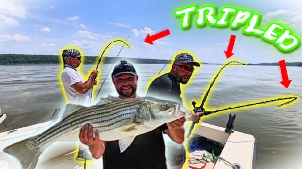 20 STRIPED BASS in 2 hours! INSANE HUDSON RIVER STRIPER FISHING! Constant action