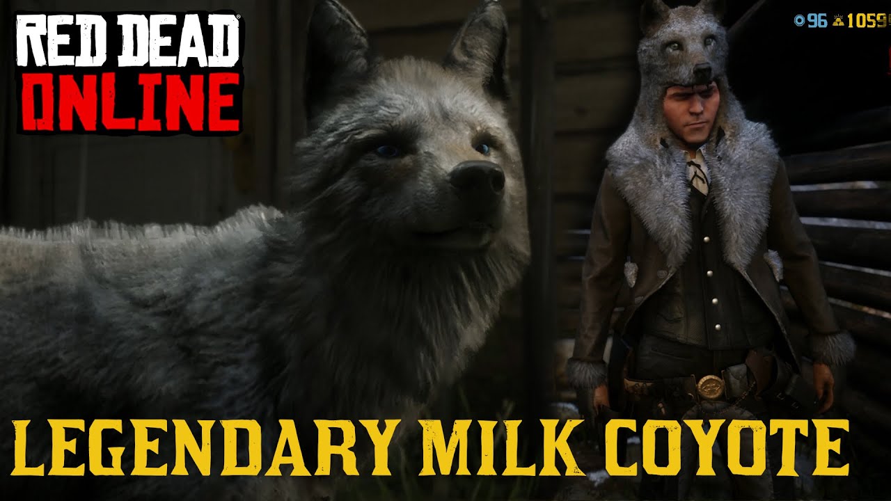 Red Dead Online MILK COYOTE Pelt & Walkthrough