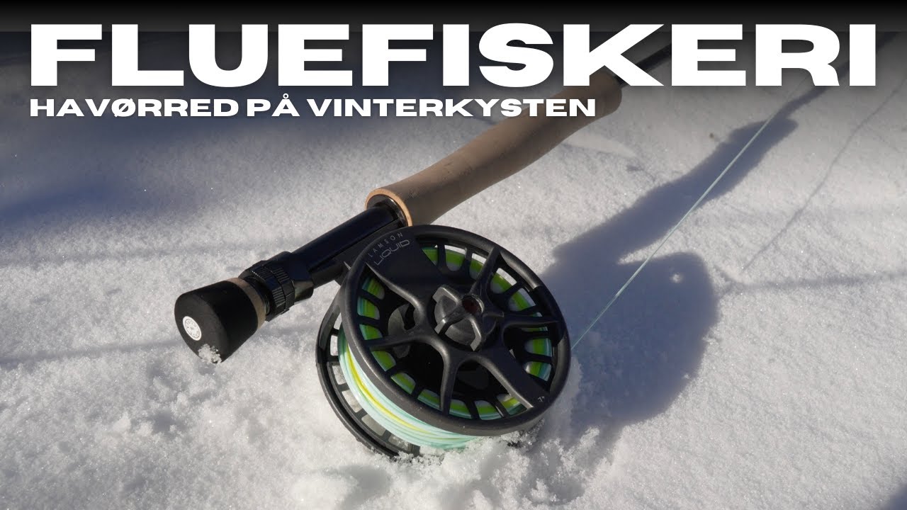 Fluefiskeri - Havørred på vinterkysten
