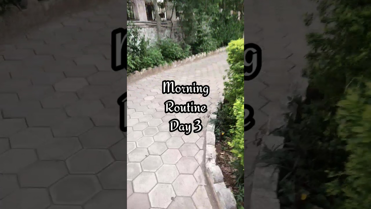 Morning Routine Day 3 | Sritha Veenem | Eat healthy | #diet #getfitwithme #srithaveenem