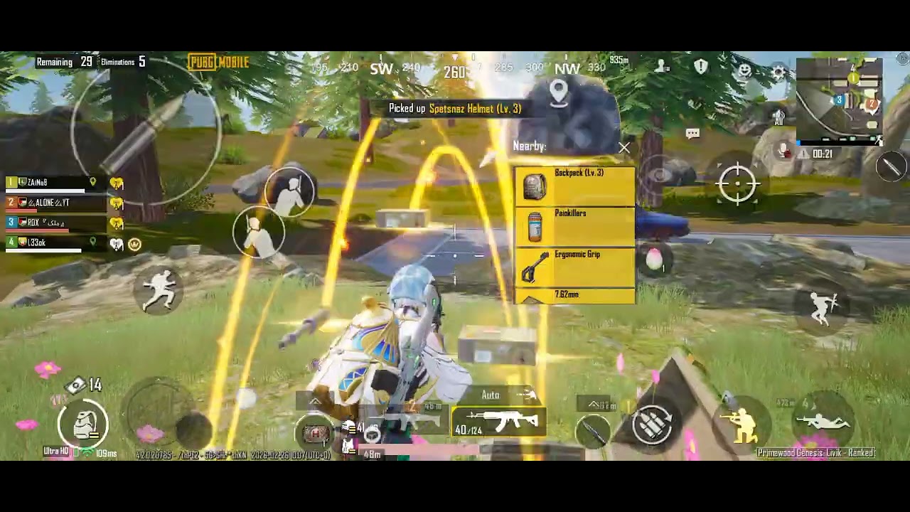 11 KILL WINNER WINNER CHICKEN DINNER