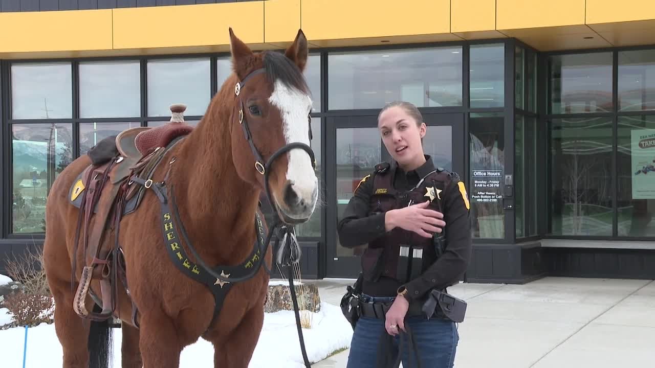Bobcats, Grizzlies—and horses: Sheriff’s Office mounts up for Brawl of the Wild