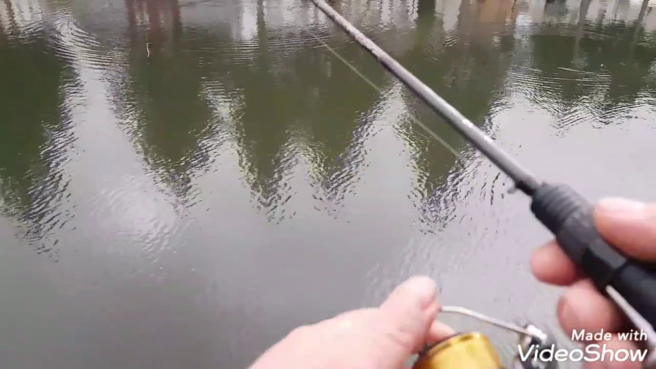 Kurzbesuch bei Angelpark Fischzucht Weller