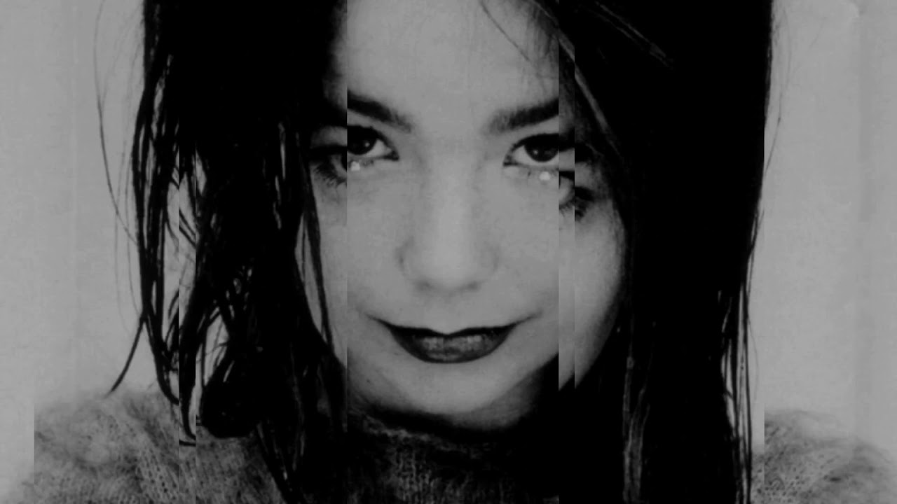 Venus as a boy - Björk - Lyrics