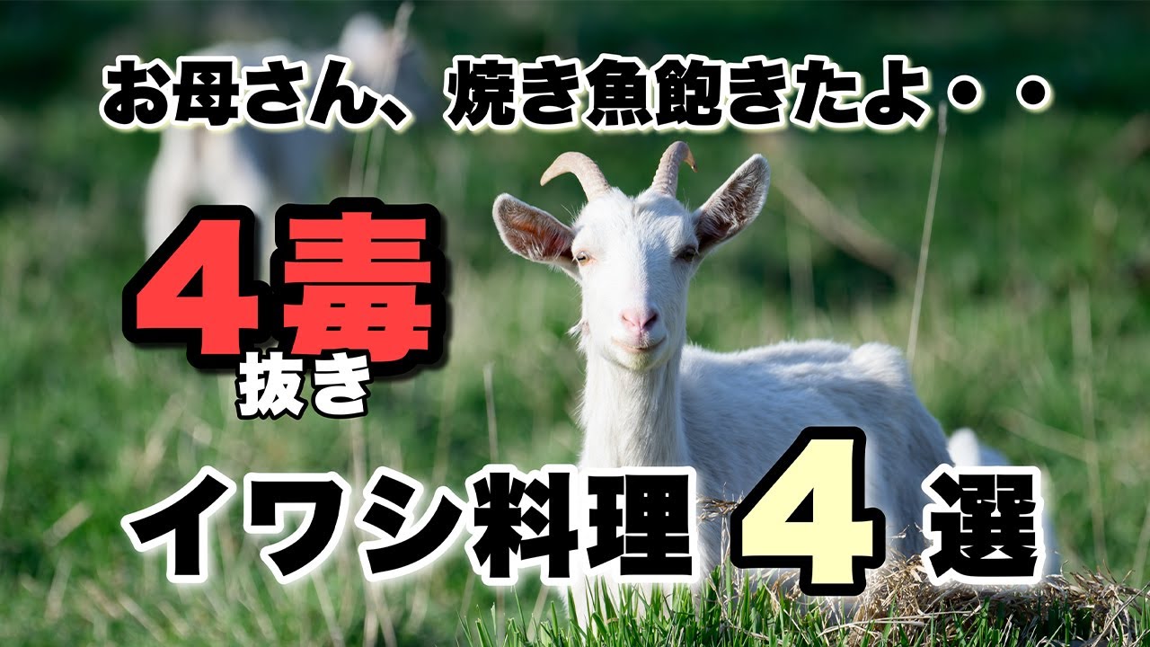 【四毒抜き・鰯料理４選！】　焼き魚は飽きた・・子供が魚を食べてくれない・・という時でも安心な美味しい鰯レシピ