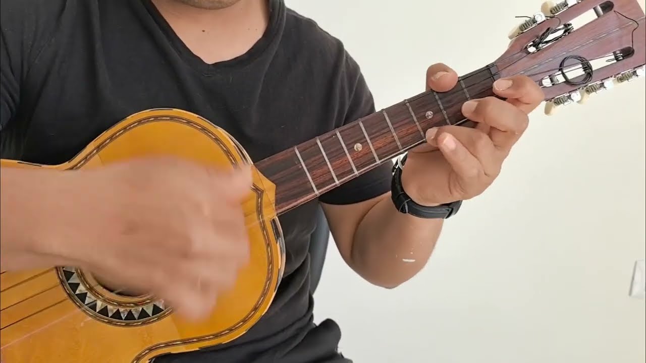 el son de la negra (vihuela)Mariachi Vargas de Tecalitlán