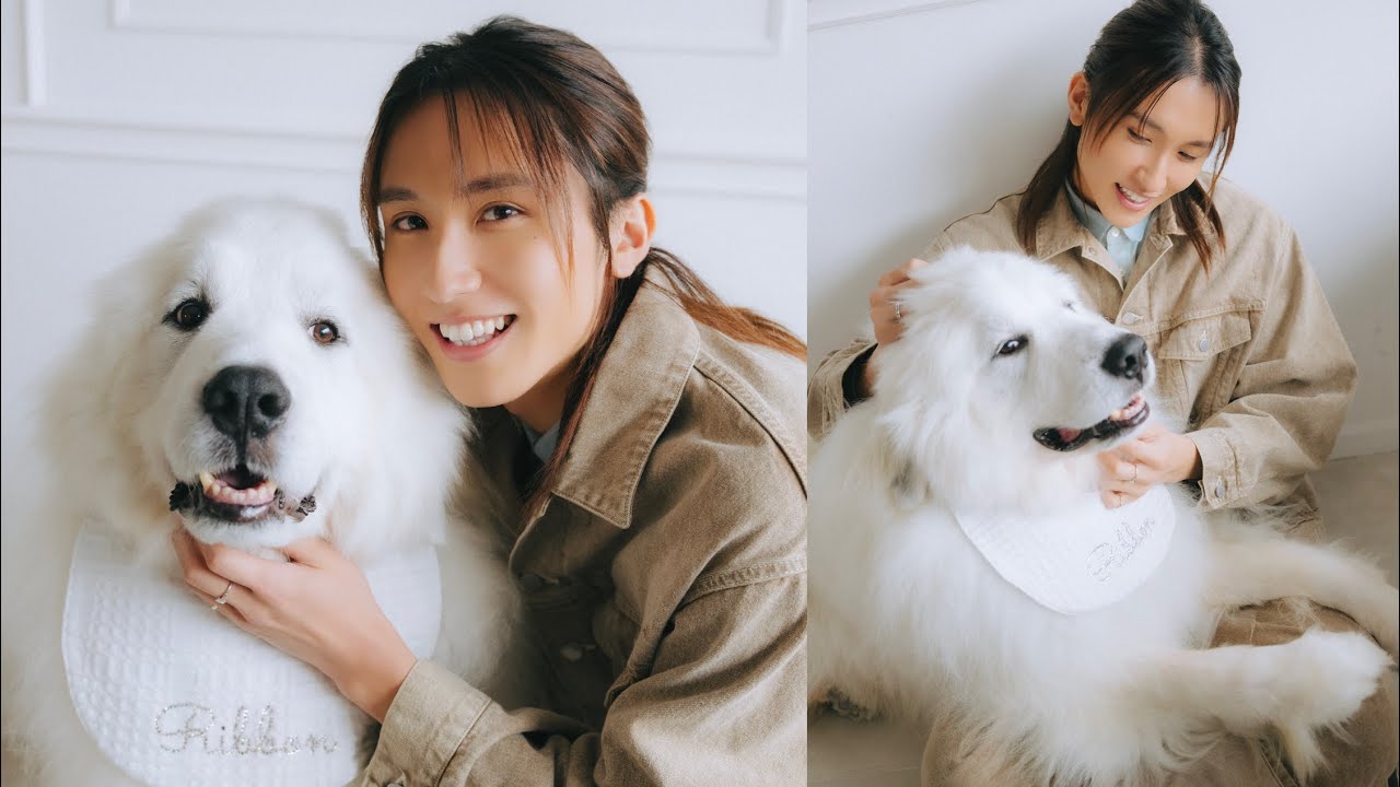 GENIC・小池竜暉さんが遊びにきてくれました！（グレートピレニーズ｜月刊わんこ撮影オフショット）