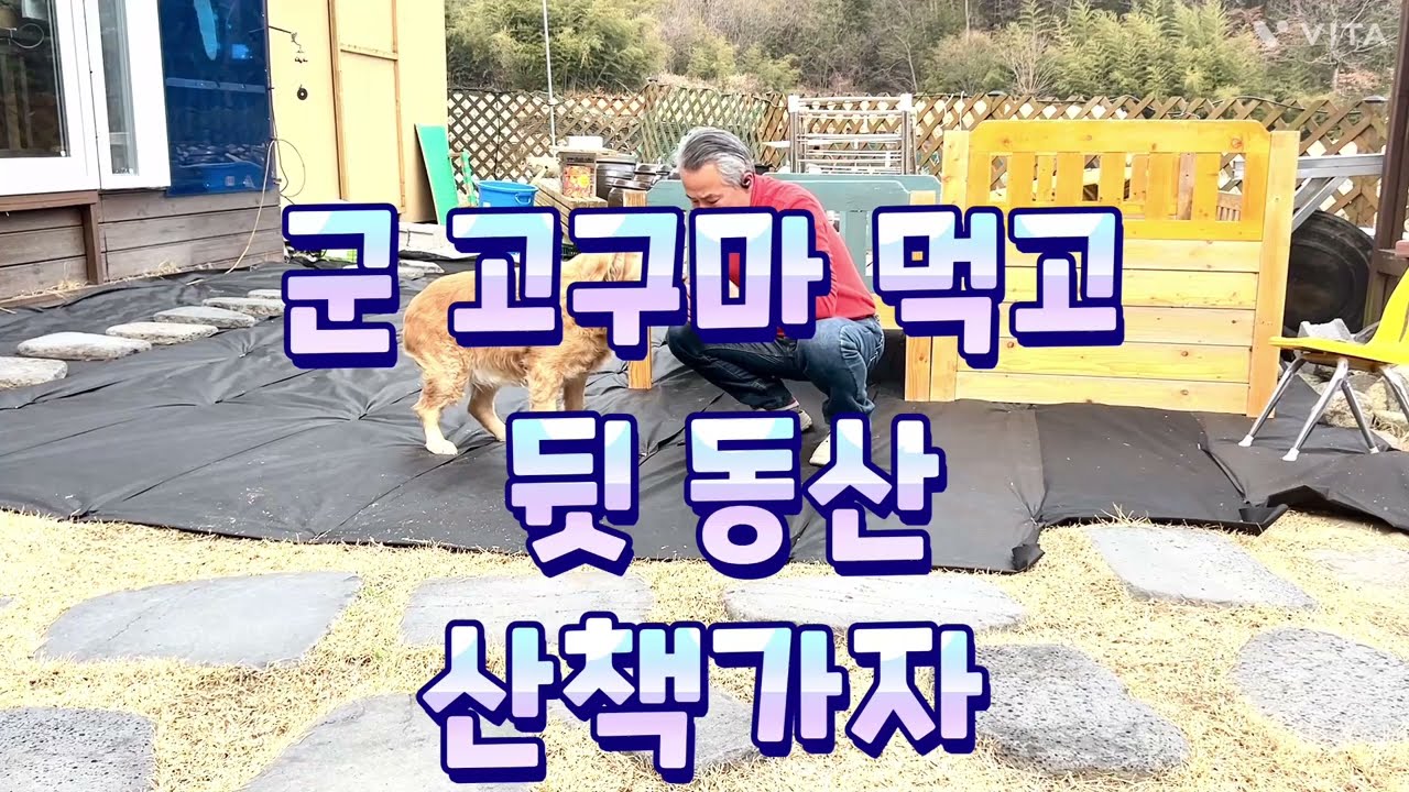 산책 다녀 오셨나요??