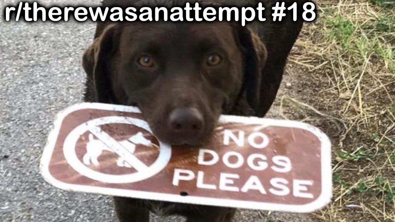 r/therewasanattempt Лучшие посты #18