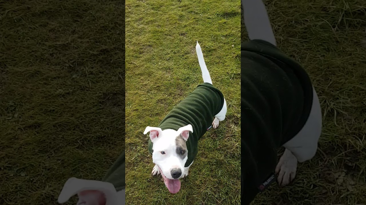 Nyla its cold sporting her karki equafleece