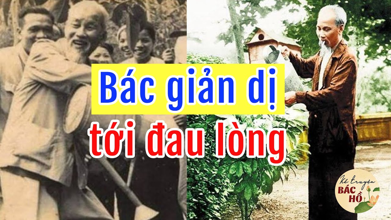 B&aacute;c Giản Gị Tới Mức Đau L&ograve;ng - Gs Ho&agrave;ng Ch&iacute; Bảo Kể Chuyện B&aacute;c Hồ Ngủ Ngon Nhất 2024