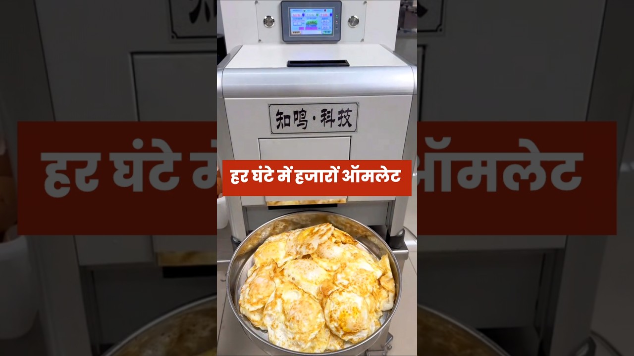 Omelette Making Machine से बिजनेस शुरू करें | High Profit | Street Food Startup 2025 