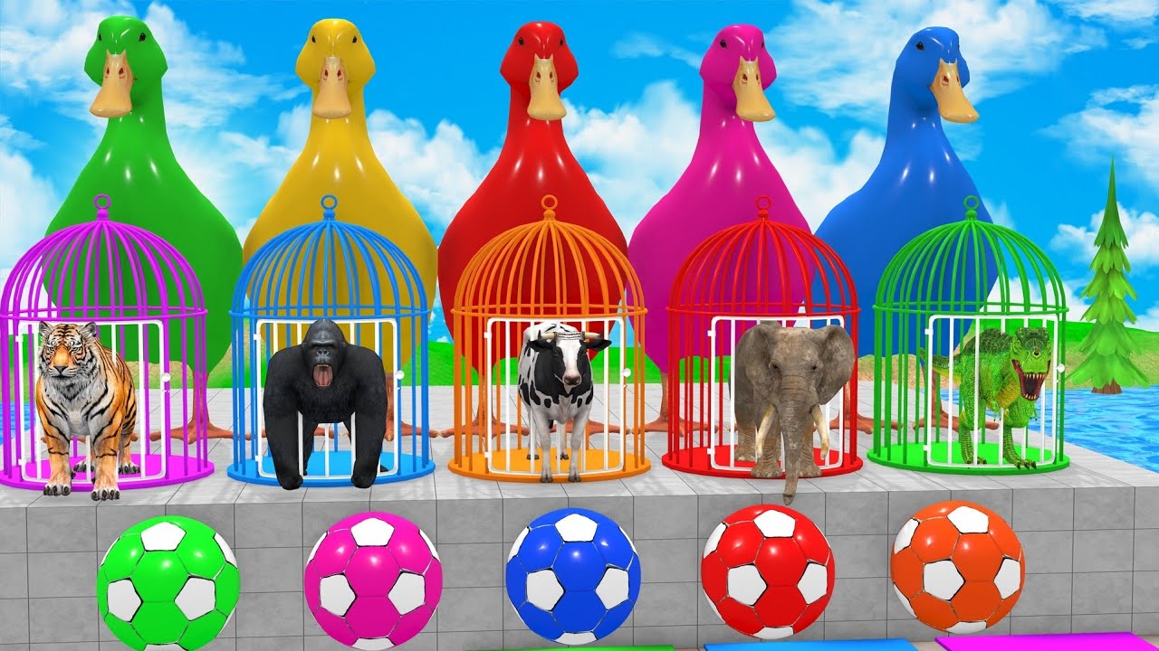 Long Slide Game with Cow, Elephant, Gorilla, Hippo & Tiger 🛝 | Funny 3D Animal Game