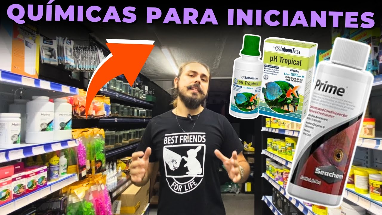 OS QUÍMICOS PARA AQUARISTAS INICIANTES