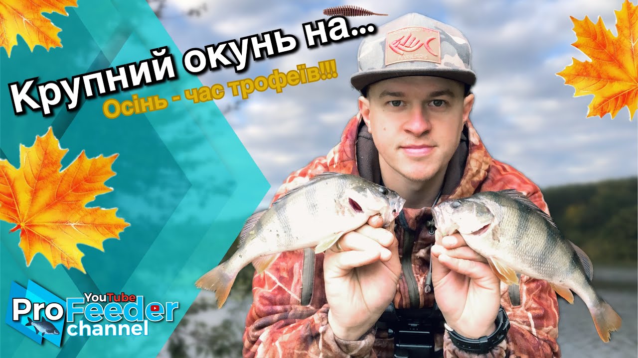 Крупний окунь!!! Осінь - час трофеїв!!!