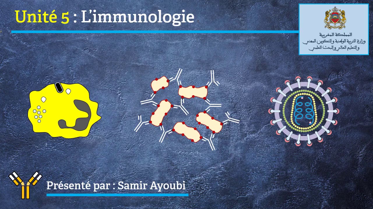 Immunologie : Notion de soi et de non soi