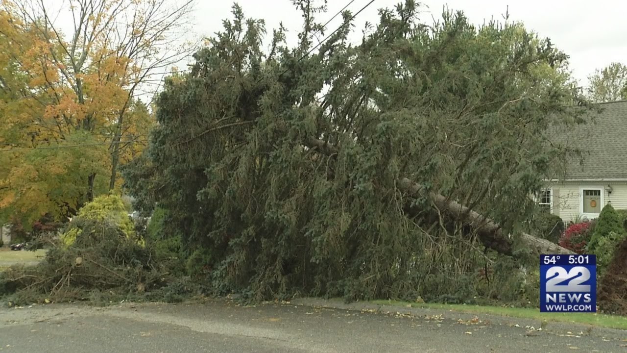 Clean up continues in East Longmeadow following Wednesdays storm