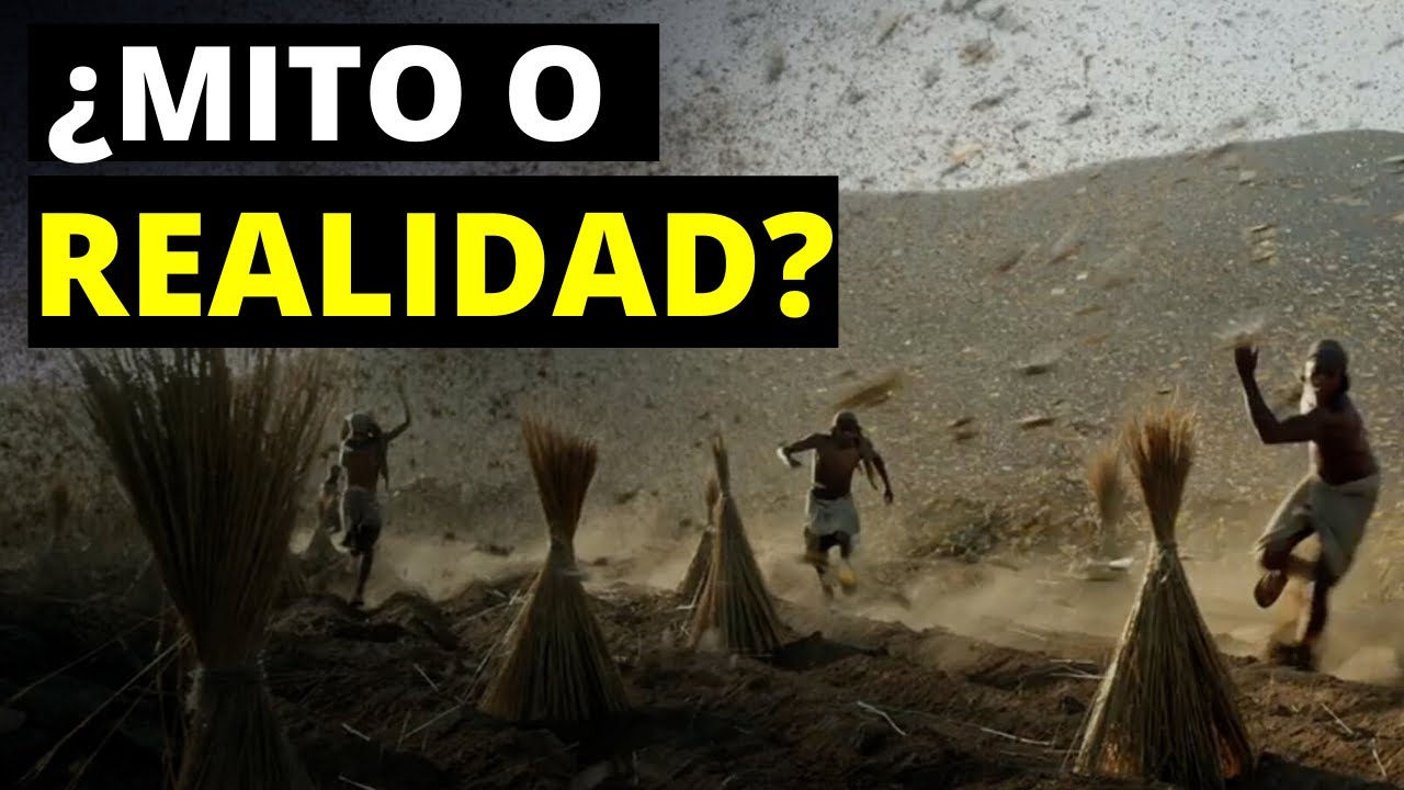 Las 10 plagas de Egipto: ¿Mito o realidad?🔺🦗