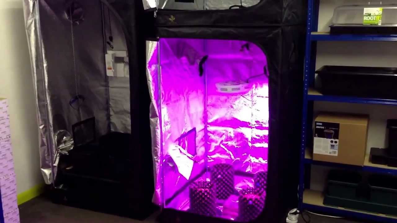 Grow tent with led tests coming soon www.hg-hydroponics.co.uk ule biggest grown tent supplier