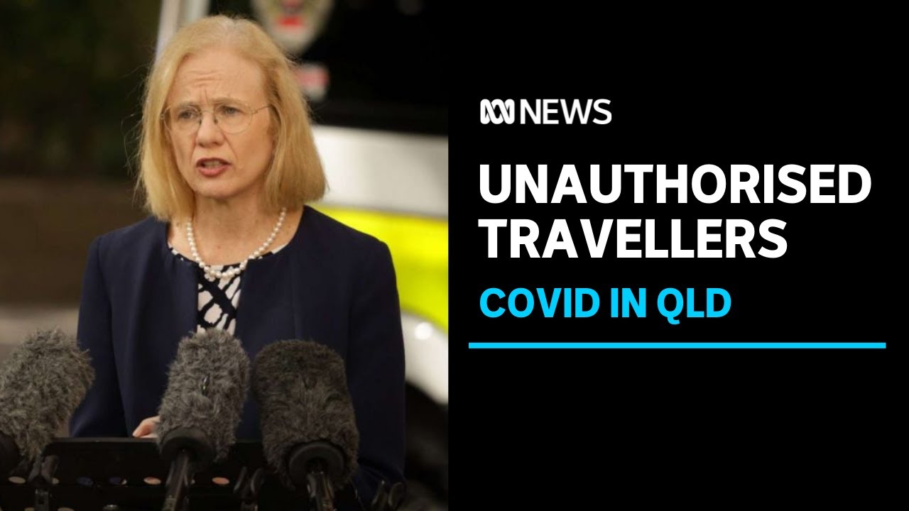 No new COVID-19 cases found in Queensland | ABC News