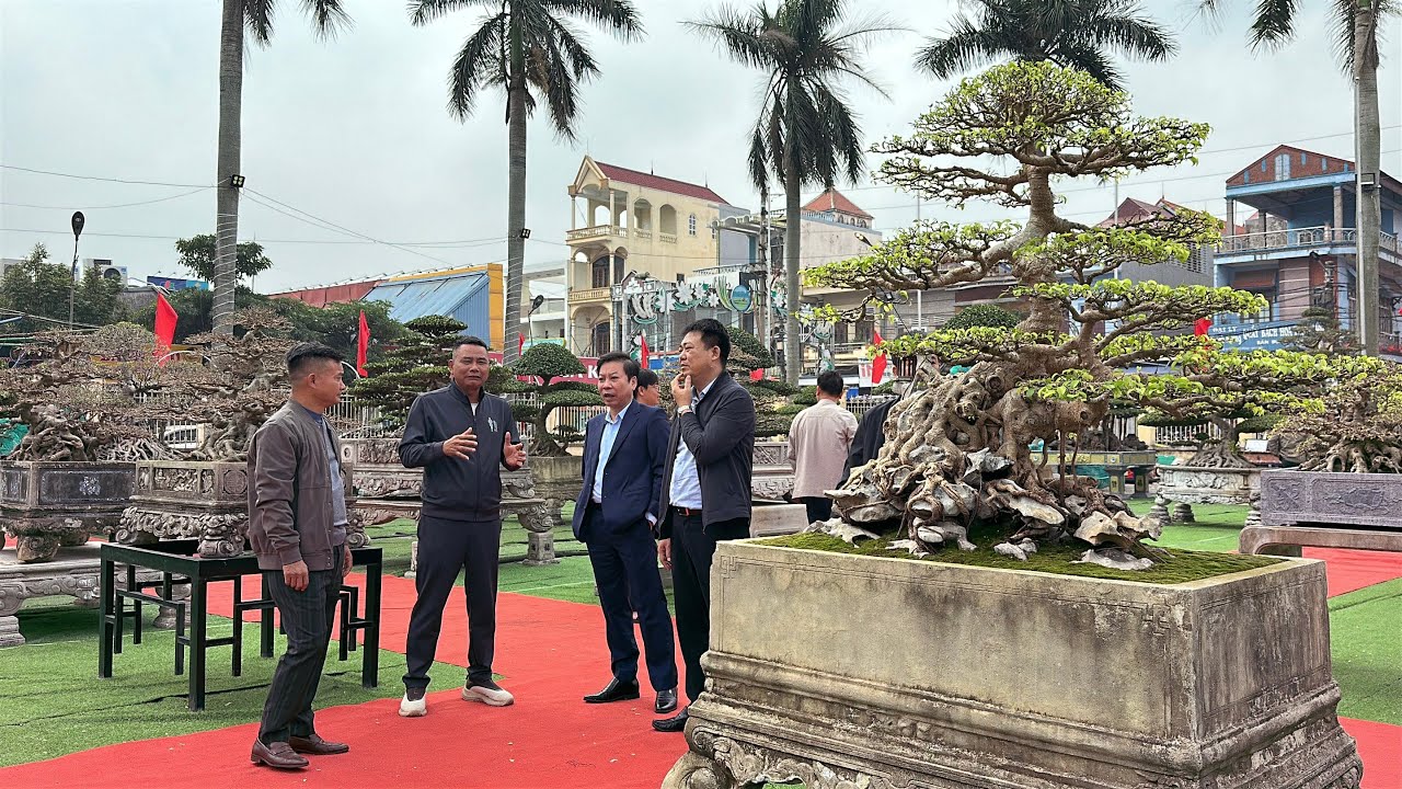 Trước ngày KM tại TLSVC GIAO THUỶ . Không gian đẹp với rất nhiều tác phẩm chất | Quảng Tùng