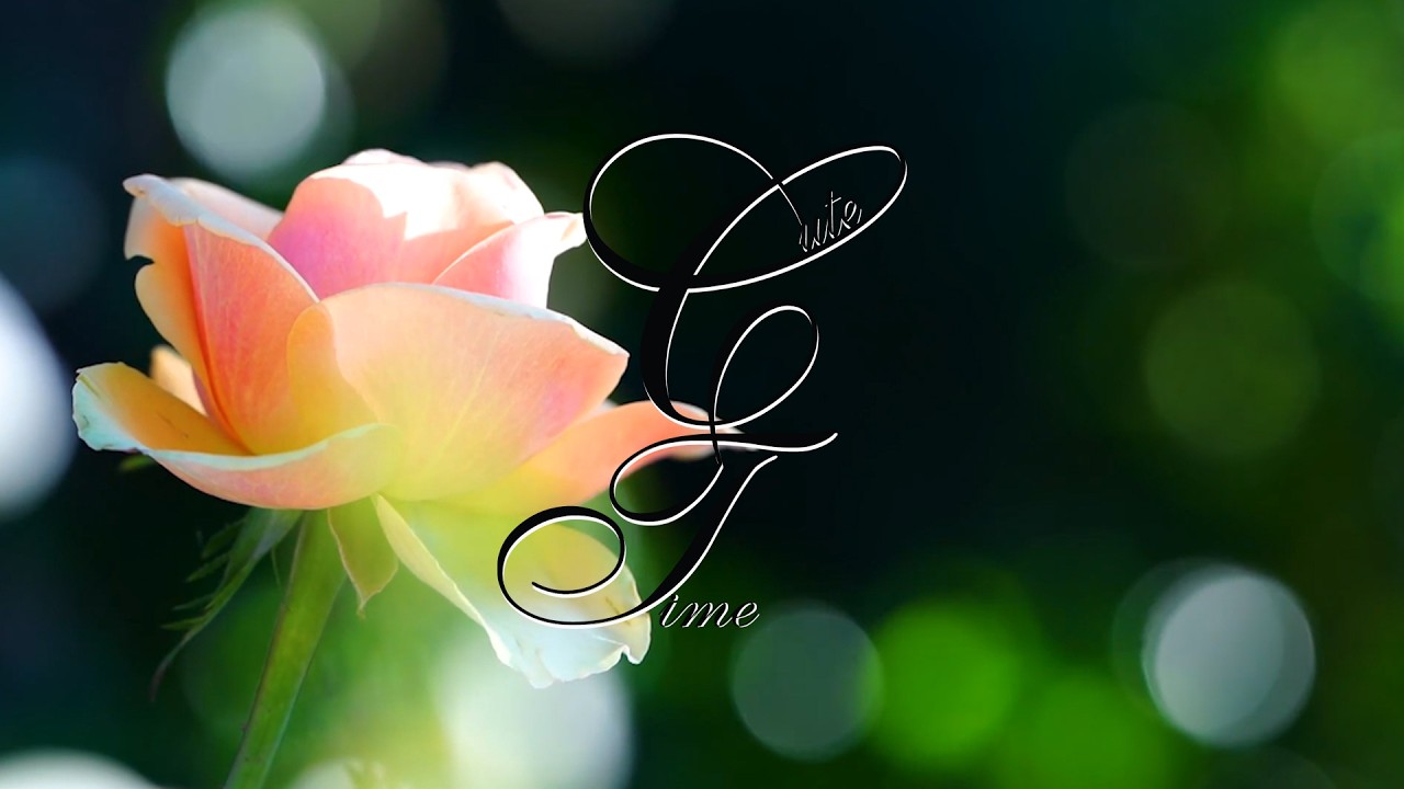 Lovely Relax Time : Cute Time : Relaxing and Soothing Music
