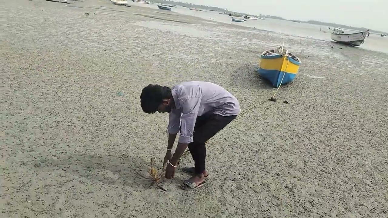Sea shore#pamban #rameswaram #seadry#fishing #viral 