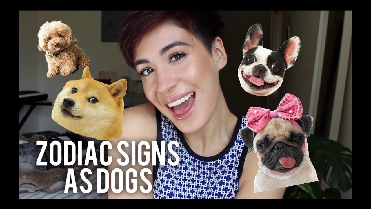 Zodiac Signs as DOG BREEDS!