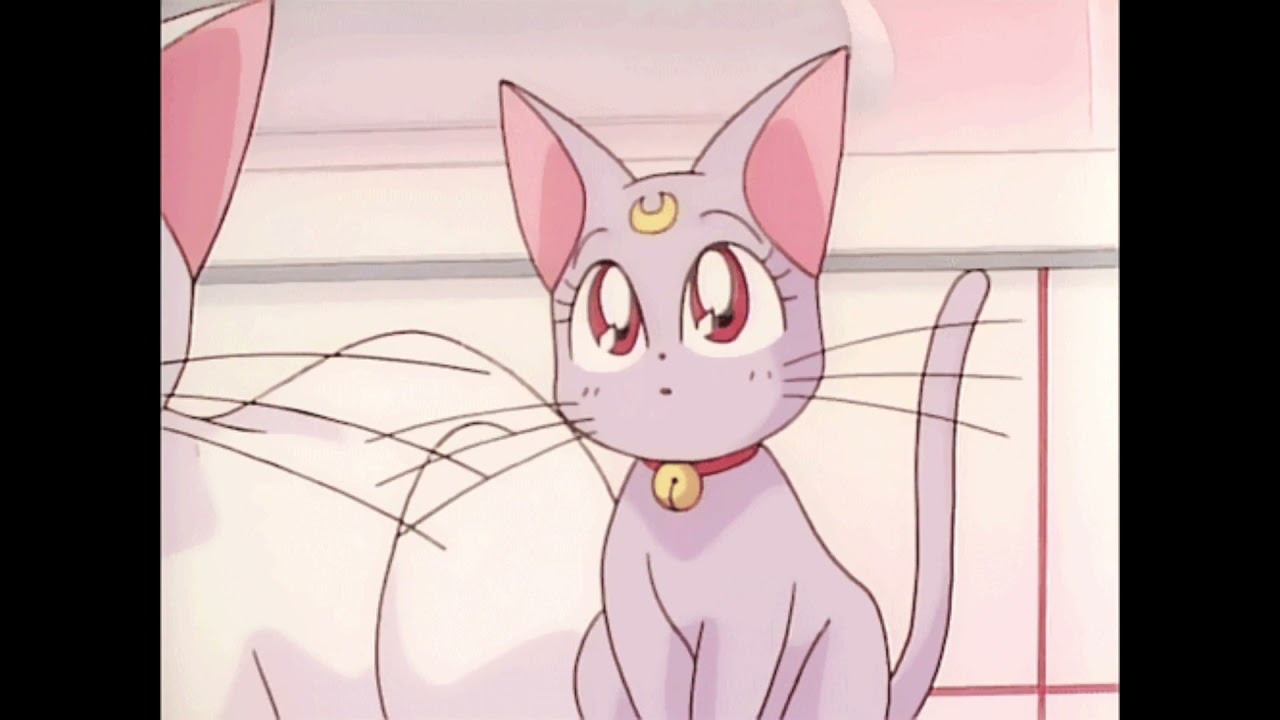PinkPantheress - I must apologise {𝕊𝕝𝕠𝕨𝕖𝕕 + ℝ𝕖𝕧𝕖𝕣𝕓 + 𝟠𝔻 𝕒𝕦𝕕𝕚𝕠}