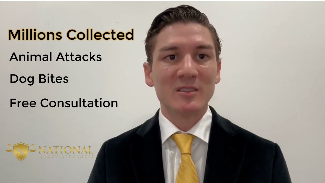 Dog Bite Lawyer Explains Your Rights After a Dog Attack | Carl Engstrand &ndash; National Injury Attorneys